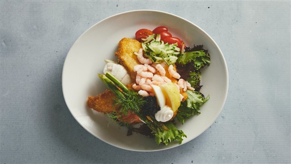 Havfruens Lille Stjerneskud